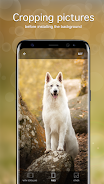 Dog Wallpapers & Puppy 4K ภาพหน้าจอ 3