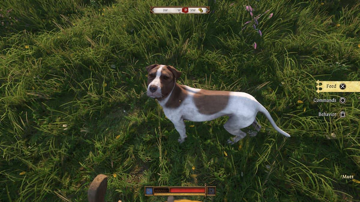 Ang lokasyon ni Mutt na isiniwalat sa Kingdom Come Deliverance 2