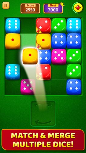 Dice Puzzle應用截圖第0張