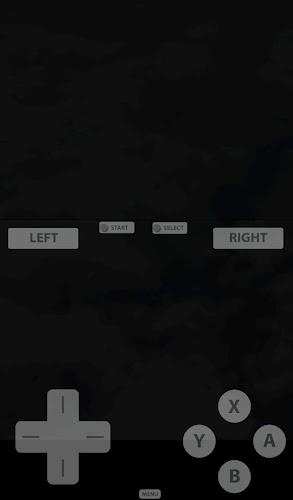 Fast DS Emulator - For Android Ảnh chụp màn hình 1